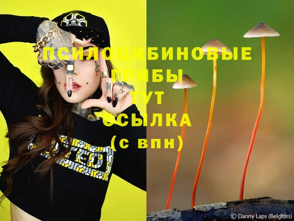 дмт Белокуриха