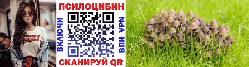 Псилоцибиновые грибы GOLDEN TEACHER  где купить наркоту  Дзержинский 