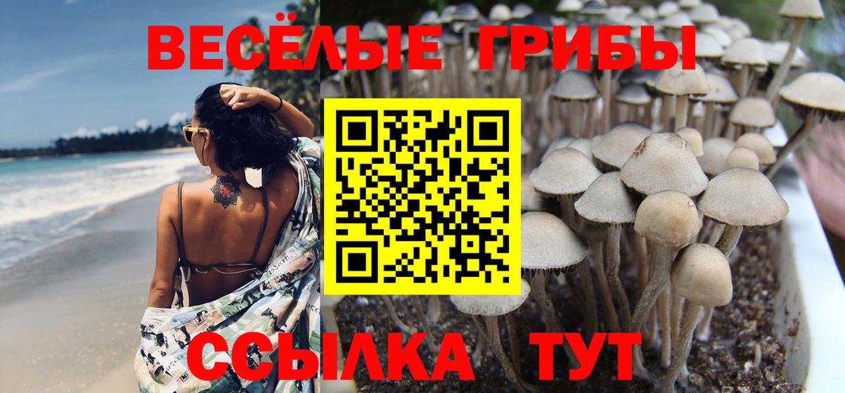 Псилоцибиновые грибы Psilocybine cubensis  хочу наркоту  Дзержинский 