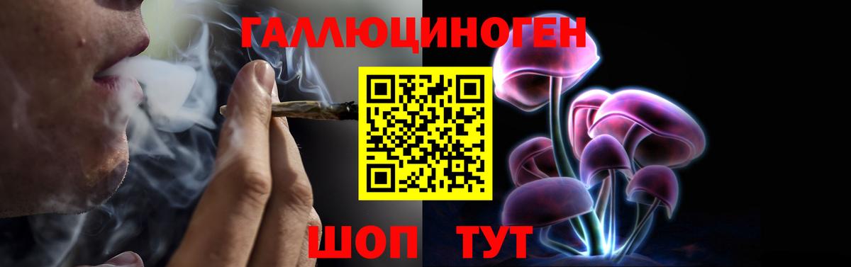 Псилоцибиновые грибы Psilocybine cubensis  Галлюциногенные грибы GOLDEN TEACHER  где купить наркоту  Дзержинский  Вход с VPN 