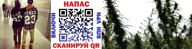 МАРИХУАНА планчик  цены   Дзержинский 